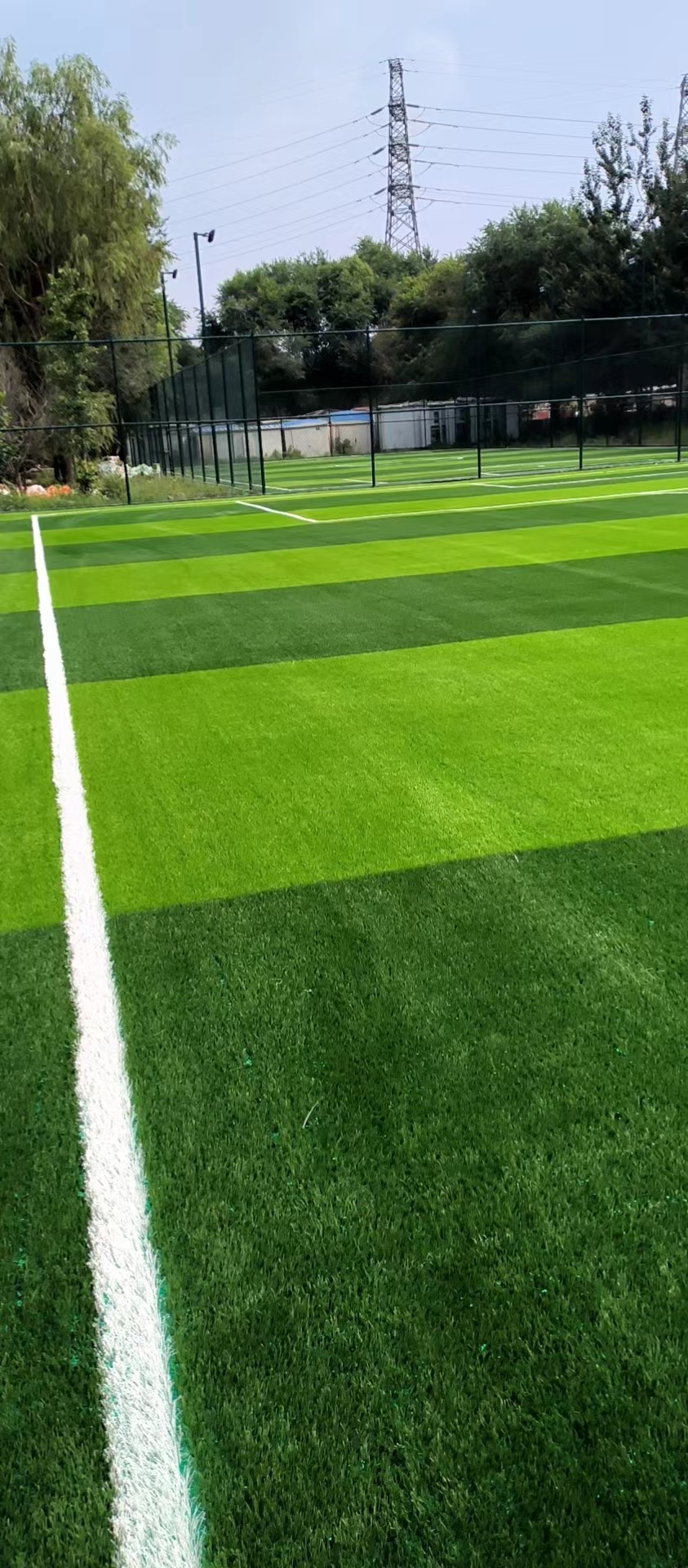 1667978100116274.jpg 3.jpg